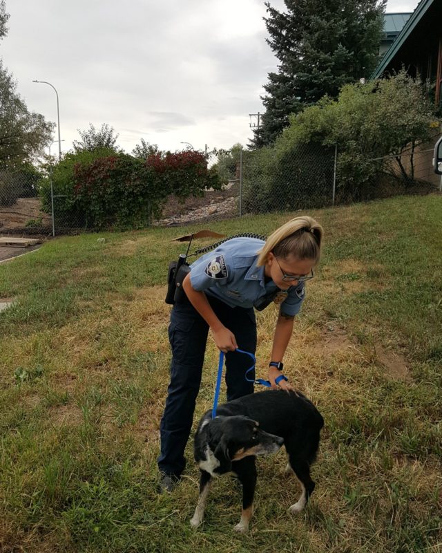 animal law enforcement officer petting large black dog
