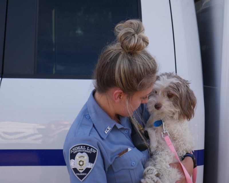 woman law enforcement officer holding small white and gray dog