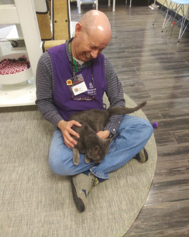 Smiling volunteer with gray cat