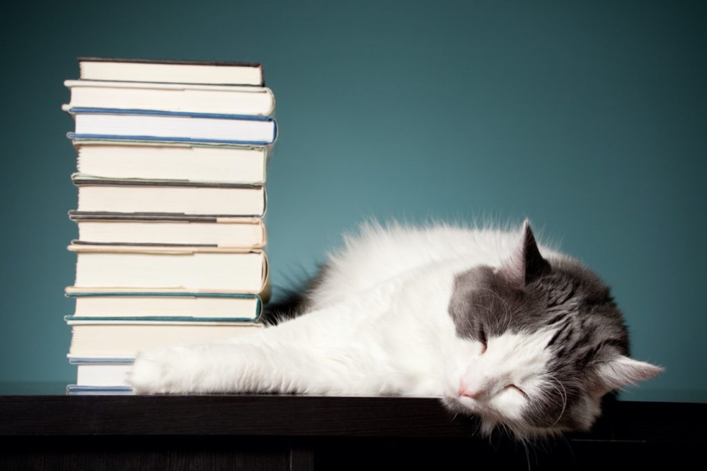 A white and gray cat sleeping on a desk with a large stack of books.