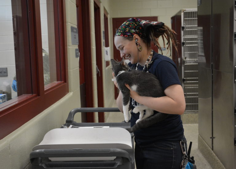HSPPR Animal Care staff weighing a kitten