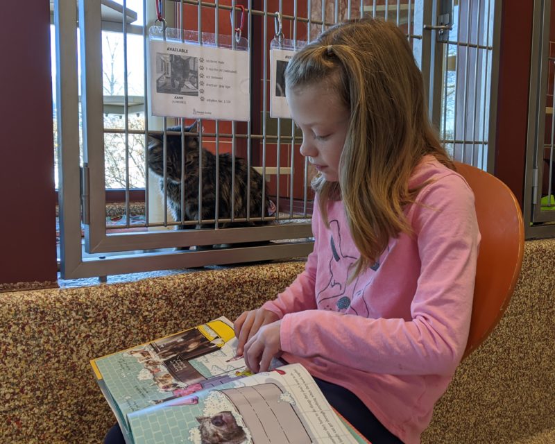 young girl reading to cat in kennel