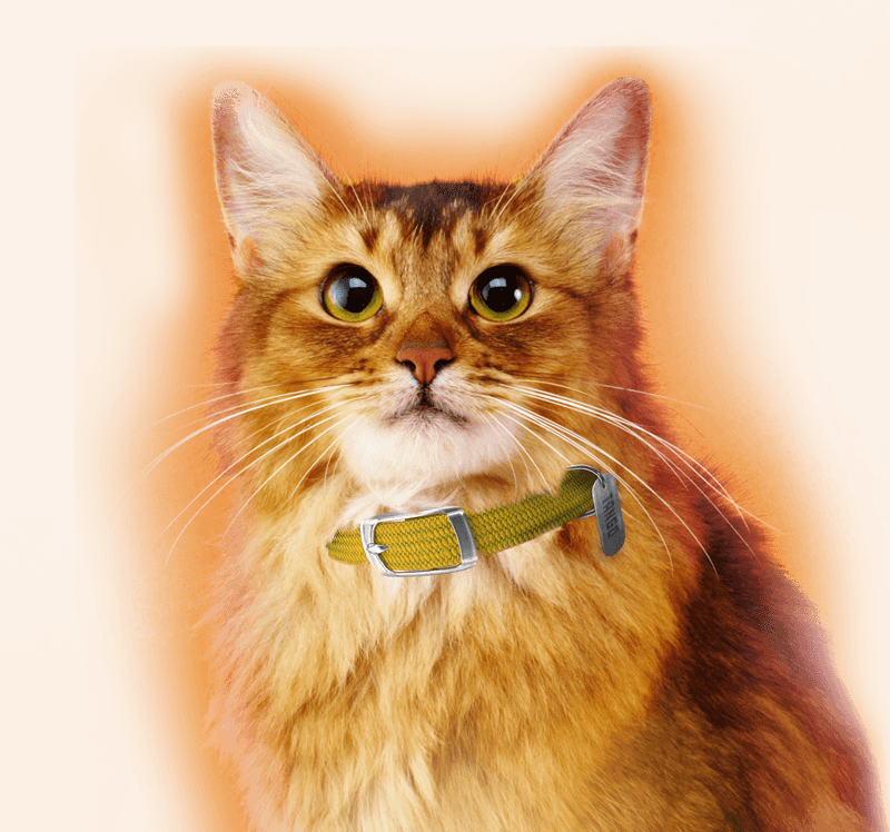 Humane Society of the Pikes Peak Region