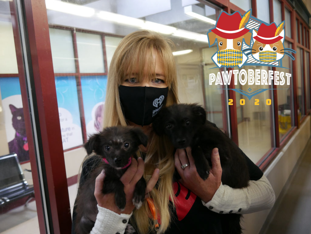 HSPRR employee holding two small black puppies