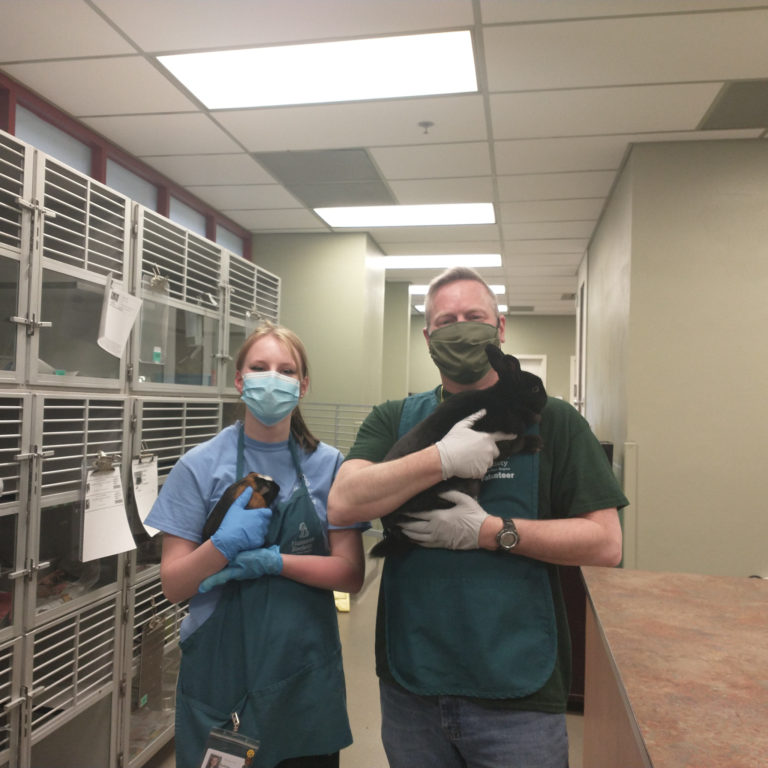A father and daughter duo wearing masks and gloves hold a bunny and guinea pig