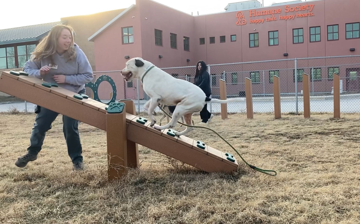 Humane Raning Training Tips For a Well-Behaved Pup - Humane Society of the Pikes Peak ...