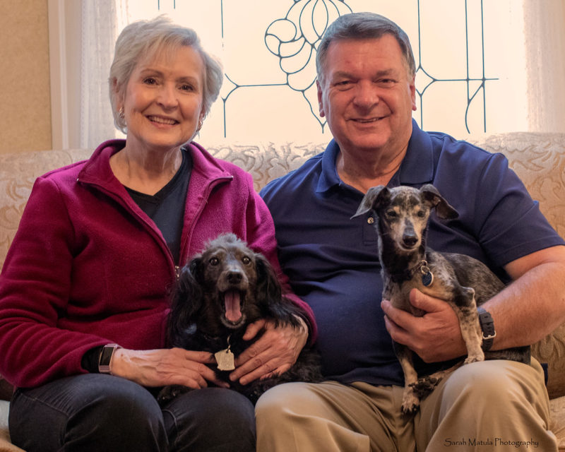 an older, white couple sits on a couch while holding two senior dachshunds