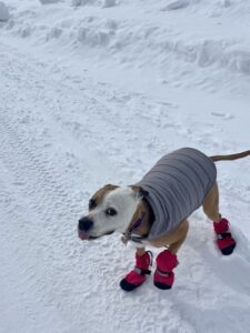 thumbnail_image3 (1) 1